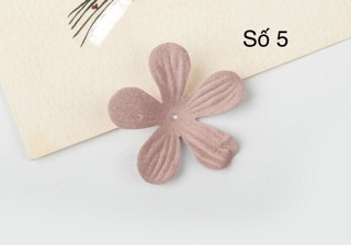 10 Cánh hoa vải