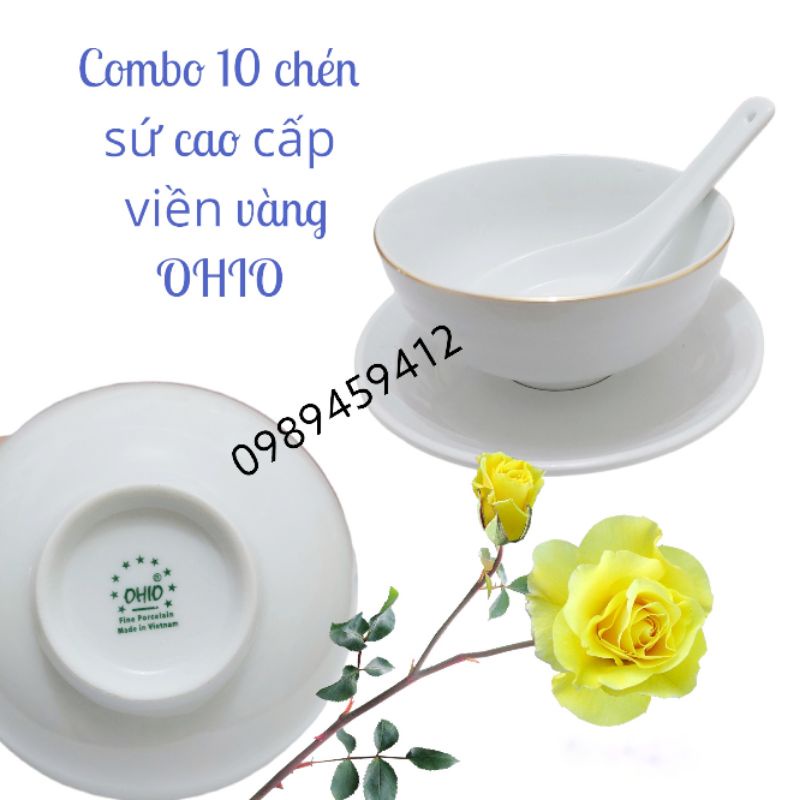 Chén sứ - 10 chén sứ cao cấp OHIO viền vàng