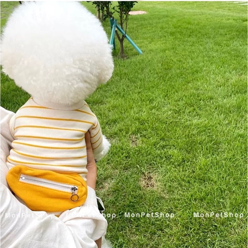 [Có sẵn] Áo thun có túi kéo khoá cho thú cưng