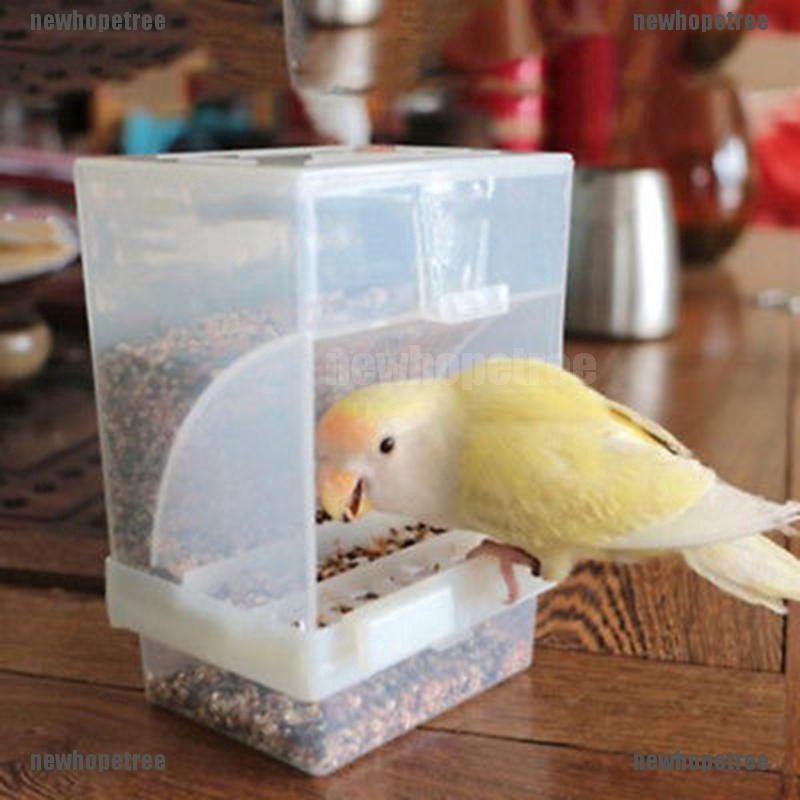 Khay ĐựNg ThứC Ăn Tự ĐộNg Cho Chim VẹT