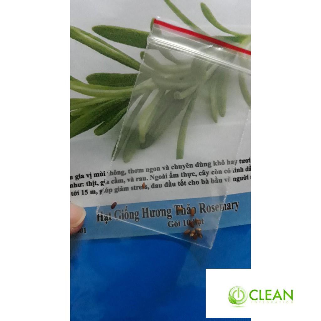 Gói 20 Hạt Giống Hương Thảo HẠT CÓ MÙI THƠM ĐẶC TRƯNG KHÔNG LO HÀNG GIẢ