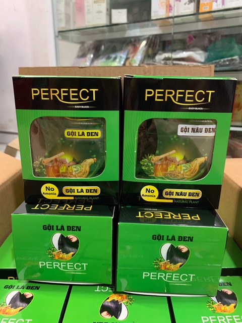 Gội Là Đen /Gội Là Nâu Phủ bạc hoàn hảo