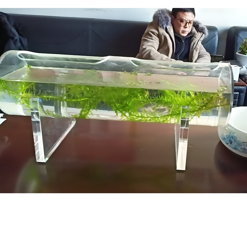 Bể tép cá acrylic hình dạng ống tròn dài 50cm