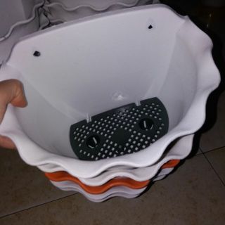 10 chậu viền tim áp tường màu trắng
