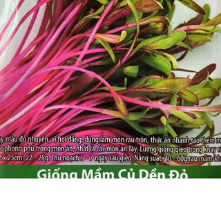Hạt giống mầm củ dền đỏ 10gr