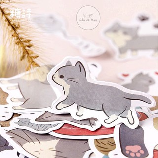 【B1.5】 HỘP 45 STICKER CAT DIARY