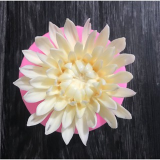 Khuôn silicon 3d làm rau câu mẫu hoa cúc cánh kim đại
