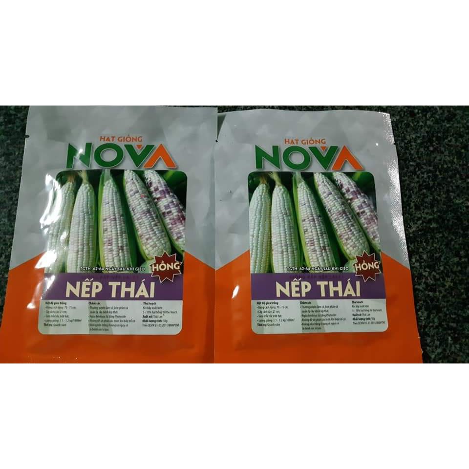 Hạt Giống Bắp Ngô Nếp Thái_Ngọt, Dẻo Như Cơm Nếp_300 Hạt