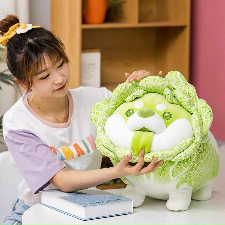 Gấu bông chó Shiba Cải Thảo Vegetable Fairy siêu dễ thương kích thước 30-50-60cm Giá Rẻ