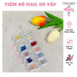 Hoa Khô Trang Trí Móng 12 Màu