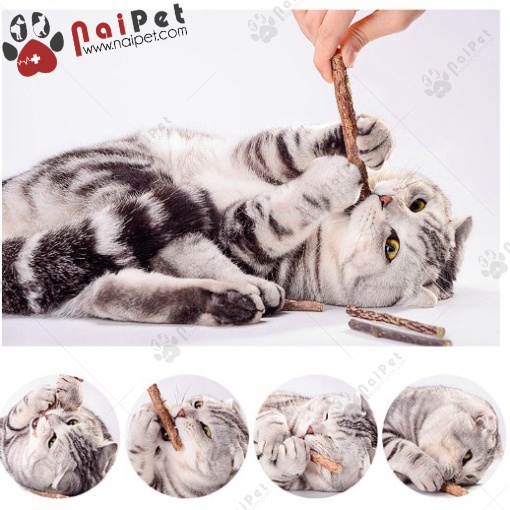 Catnip Bạc Hà Gặm Sạch Răng Cho Mèo Dạng Que Gỗ CCN010