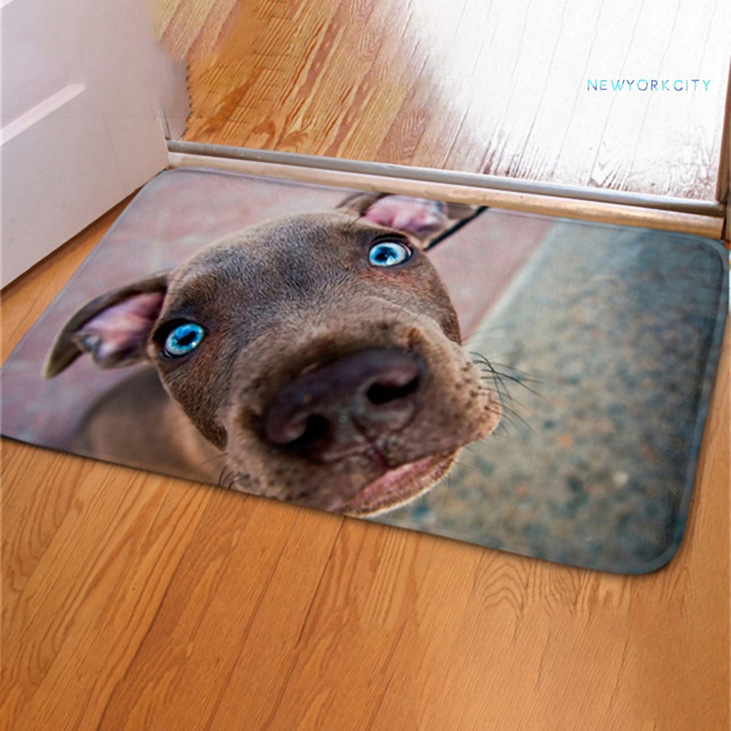 Thảm lót sàn Chống Trượt Họa Tiết Chó Mèo 3D Dễ Thương