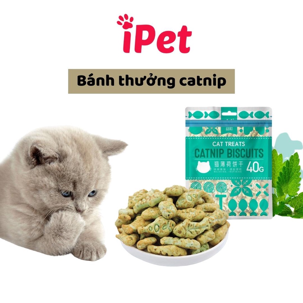 Bánh Thưởng Catnip Cho Mèo Cat Treats Biscuit, Thức Ăn Snack Huấn Luyện Mèo - iPet Shop