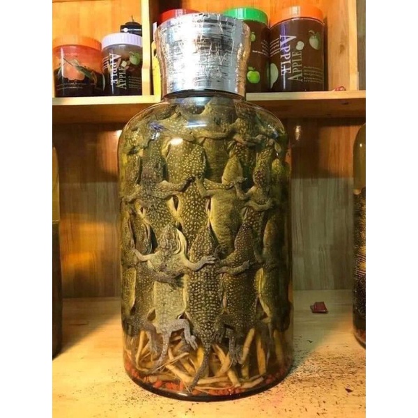 1 em tắc kè, hỗ trợ làm sạch hút chân không.