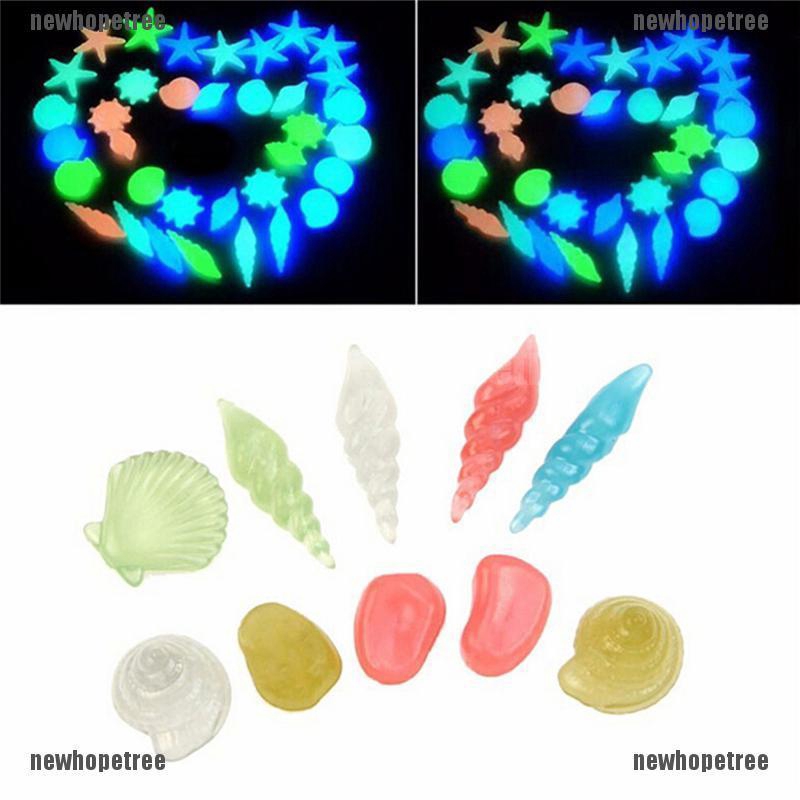 Bộ 10 Vỏ ốc trang trí phát sáng trong đêm cho bể cá
