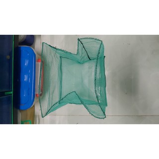 Lồng đẻ guppy