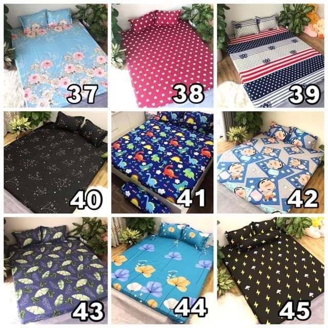 Set ga gối cotton poly