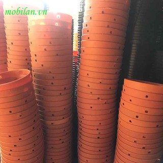 Chậu trồng lan phi 14( combo 10 chậu)