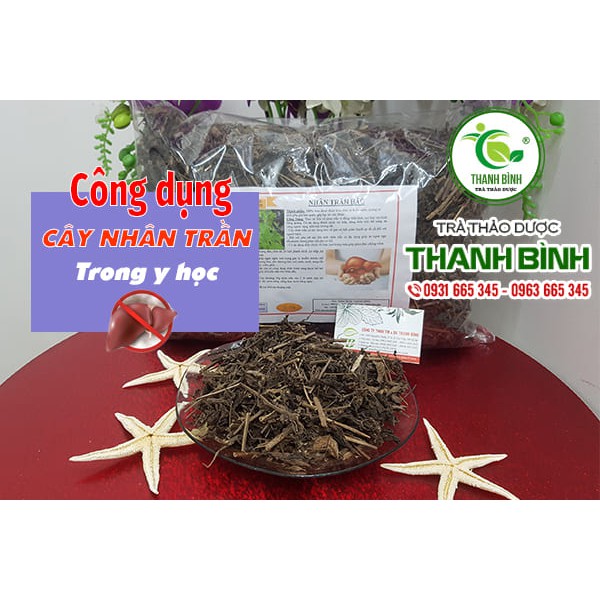 Cây Nhân Trần 100gr 100% Tự Nhiên - Hàng Loại 1