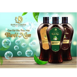 Cao gội đầu thảo mộc bưởi non giảm gãy rụng, kích thích mọc tóc giúp tóc chắc khỏe