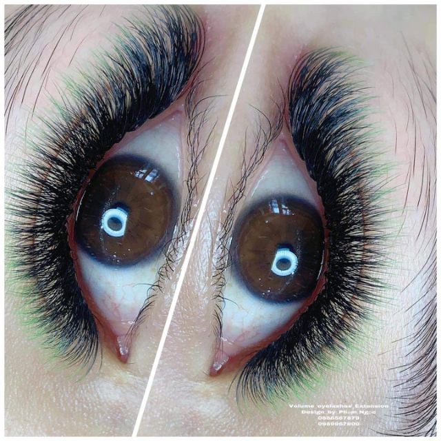 Mi omber 6 màu Cc007