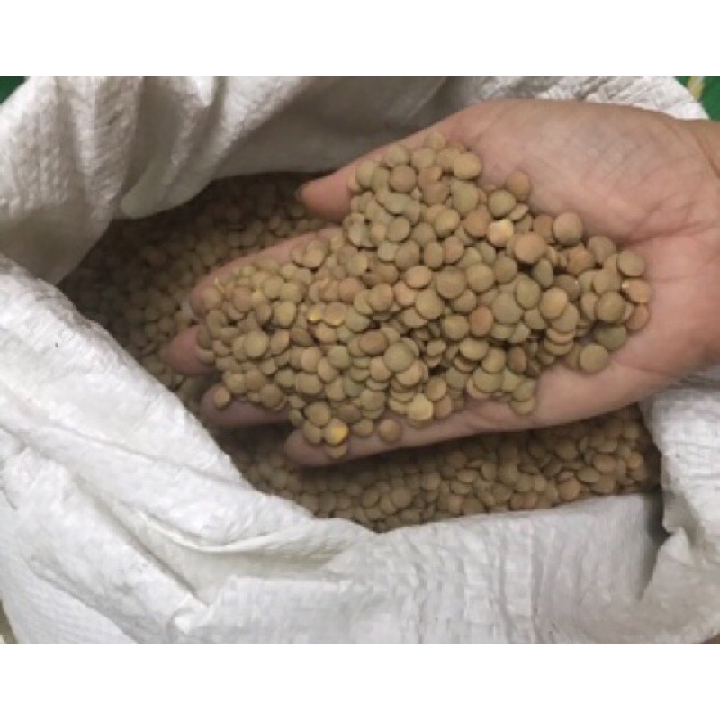 Đậu lăng xanh hữu cơ không biến đổi gen 500g