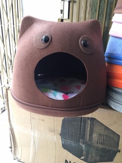 Nhà nỉ hình đầu mèo