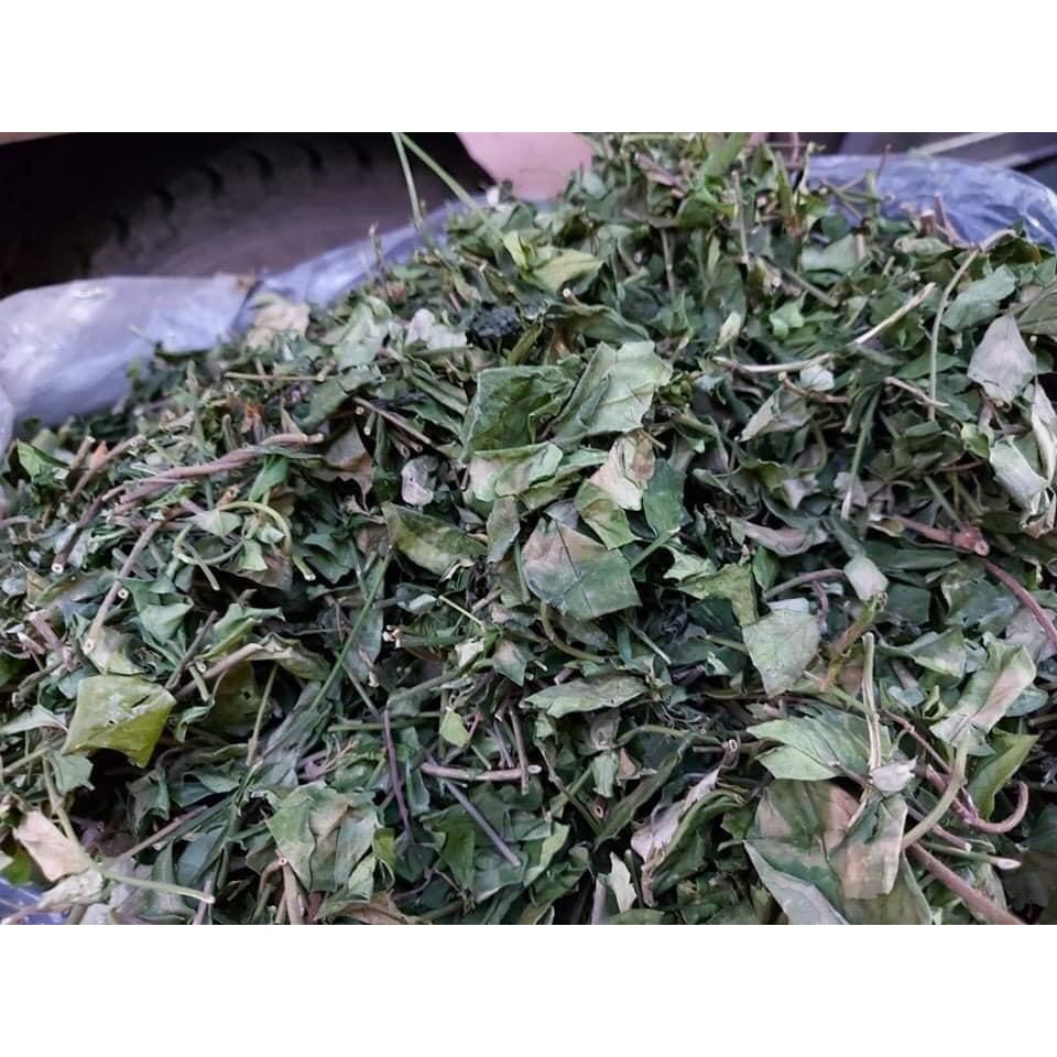 [GIÁ BUÔN] 1Kg Dây thìa canh (cam kết xanh, thơm, mới)