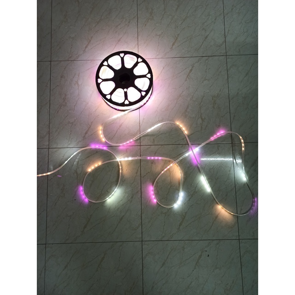 Dây nháy đuổi trang trí 1 hàng led dùng trang trí noel, nhà hàng, quấn cây ,...chống nước bản lẻ theo m - Chưa kèm nguồn