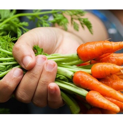 Hạt Giống Cà Rốt Tí Hon Thơm Ngon Giàu Dinh Dưỡng Gói 20 hạt 1 gói
