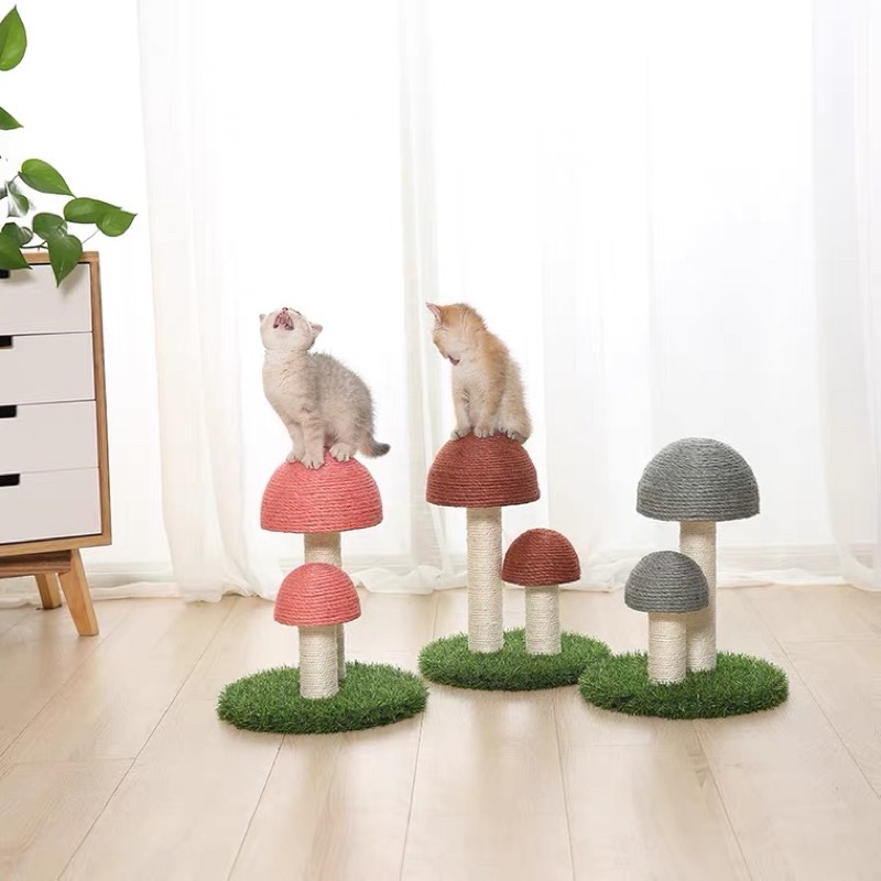 trụ mèo hình cây nấm - Cat Tree