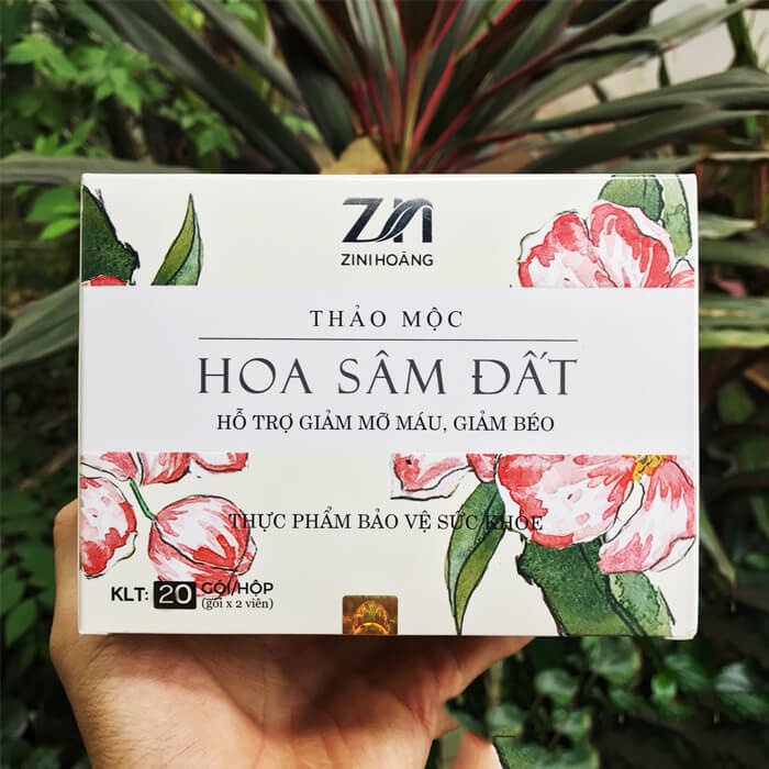 COMBO 10 HỘP TRÀ THẢO MỘC HOA SÂM ĐẤT ZIN