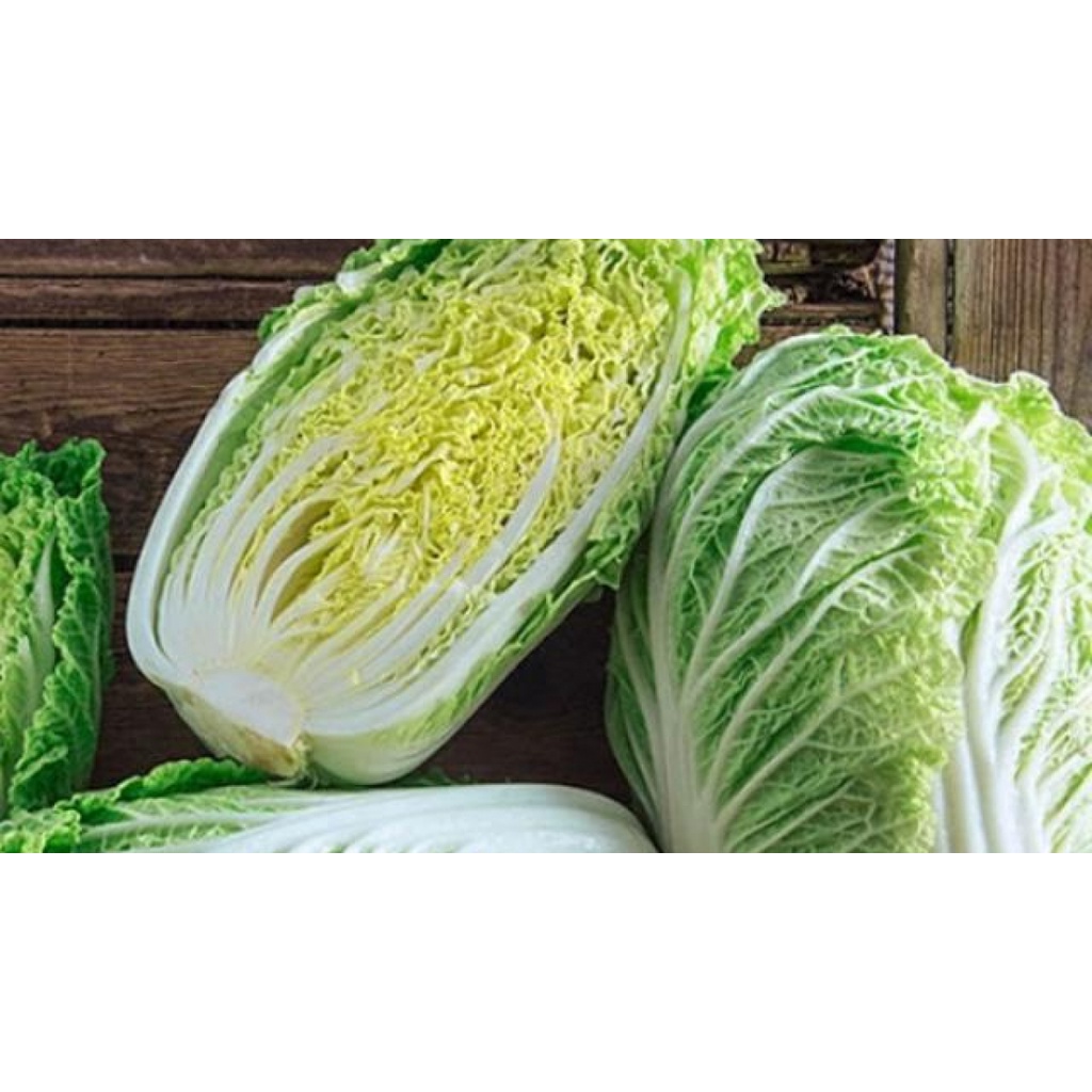 Hạt giống Cải Thảo 0,5g