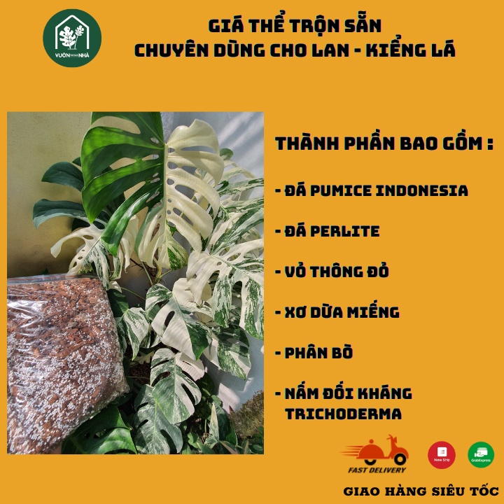 Giá thể kiểng lá cao cấp 2kg thông thoáng cho rễ phát triển chuyên dụng trồng cây kiểng lá cây cảnh indoor