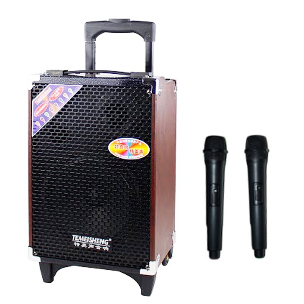 Tặng 2 Mic ko dây ,Loa kéo di động Temeisheng Q8S 2.5 tấc thùng gỗ