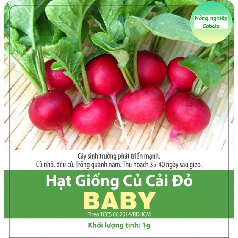 Hạt Giống Củ Cải Đỏ (BABY) Năng Suất Cao 1gr