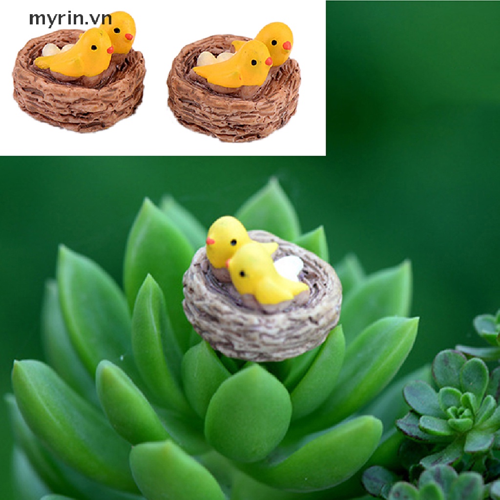 Tổ Chim Mini Trang Trí Tiểu Cảnh