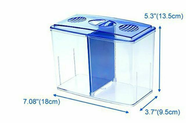 Bể nhựa nuôi cá Betta mini 2 in 1, hồ cá để bàn size 18x14x10 cm - Betta Box - GuppyXanh