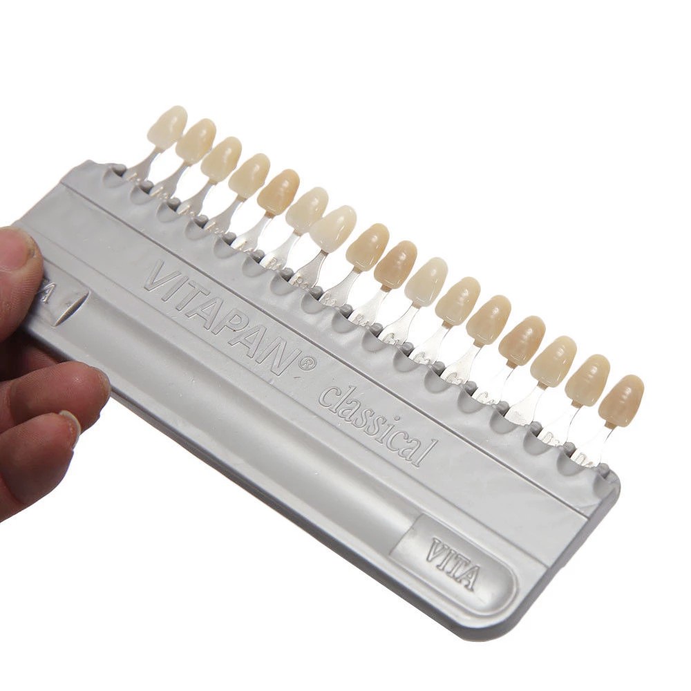 Chảo Đánh Răng Vita Bằng Sứ 16 Màu Chất Lượng Cao