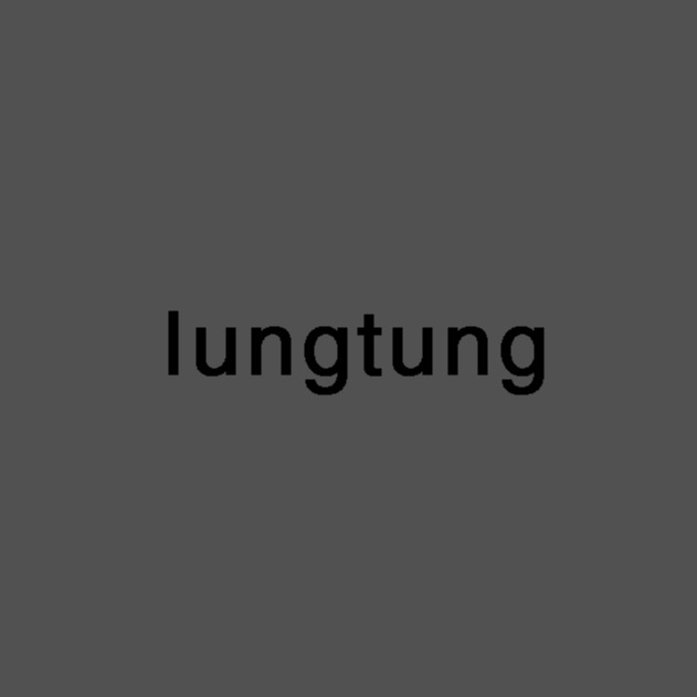 lungtungstudio
