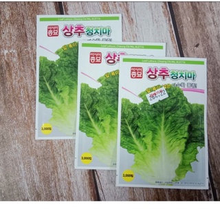 HẠT GIỐNG XÀ LÁCH HÀN QUỐC