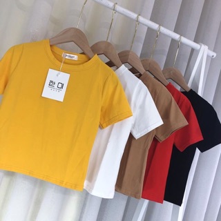 Áo phông croptop phom nhỏ ôm
