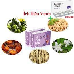Combo Bedipanten 100mg +  ✅ ÍCH TIỂU VƯƠNG - Giảm Tiểu Ngày, Tiểu Đêm