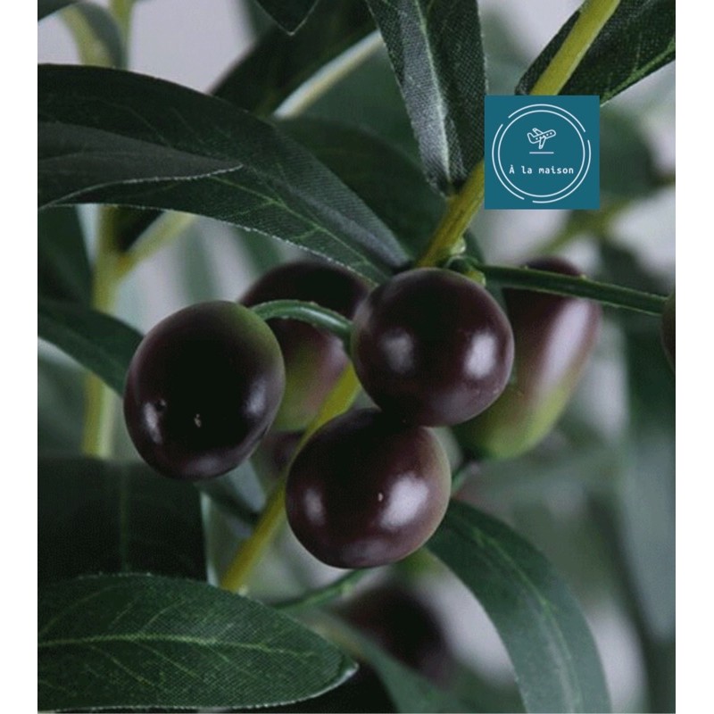 Cành lá olive có quả trang trí nhà, hoa decor chụp ảnh cao cấp