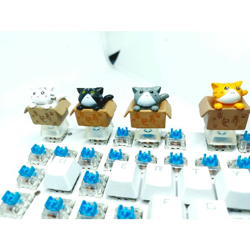 Keycap bé mèo trong hộp( cat in box) chân trong suốt.