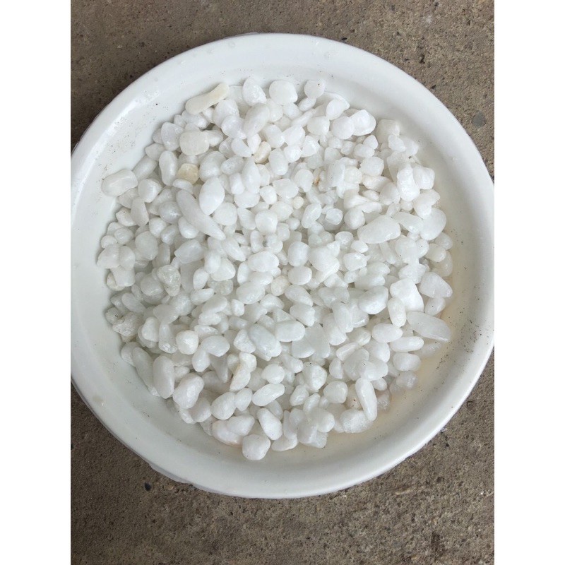 ✅ Sỏi trắng trang trí chậu hoa, sen đá size cỡ 0.5 - 2 cm (500 gram) ☘️