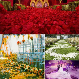 200 Cánh hoa hồng trang trí