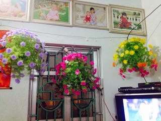 Combo 4 bộ  làm hoa giấy lua