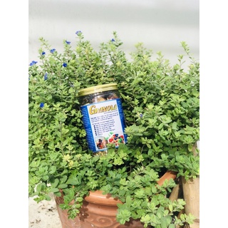 Hạt dinh dưỡng [500g]