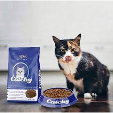 Thức ăn hạt catchy 1 kg chiết và gói 400g